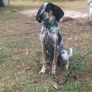 Meet your Posher, Howard